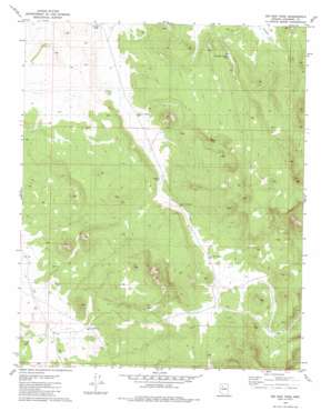 Big Bud Tank USGS topographic map 35112e7