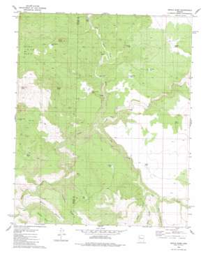 Devils Hump USGS topographic map 35113a3