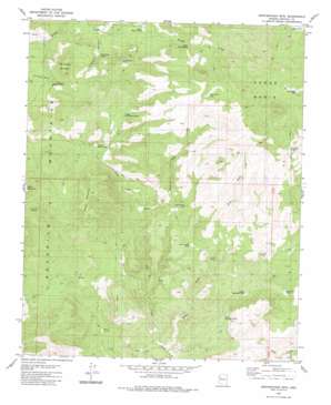 Penitentiary Mountain USGS topographic map 35113a4