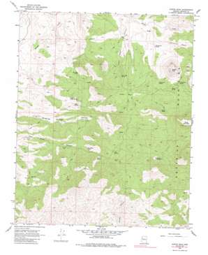 Austin Peak USGS topographic map 35113a5