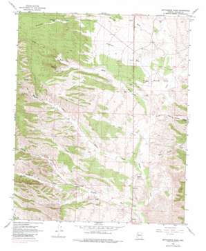 Bottleneck Wash USGS topographic map 35113a6