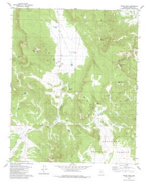 Squaw Peak USGS topographic map 35113b1