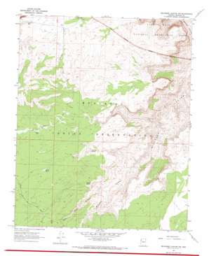 Milkweed Canyon Nw topo map