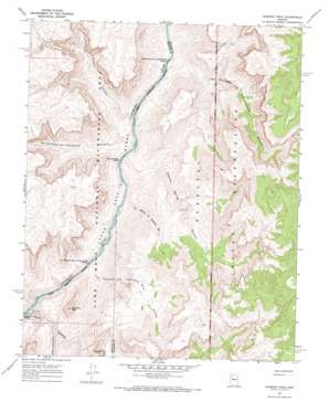 Diamond Peak USGS topographic map 35113g3