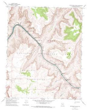 Separation Canyon topo map