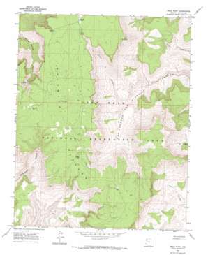 Price Point USGS topographic map 35113h4