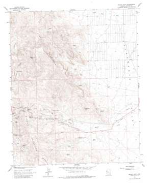 Mount Nutt USGS topographic map 35114a3