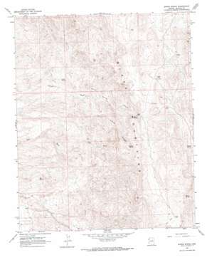 Burns Spring USGS topographic map 35114c4