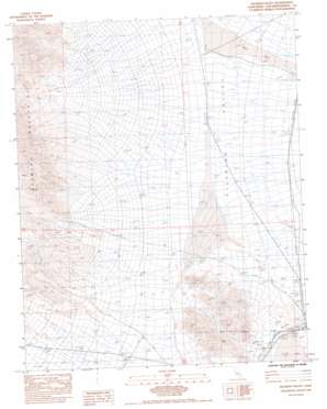 Silurian Valley USGS topographic map 35116d2