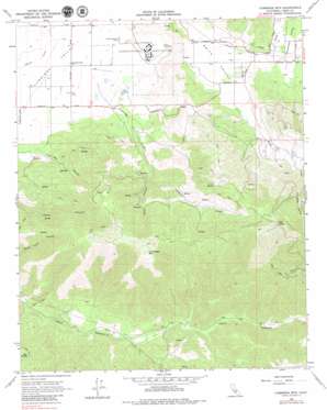 Cummings Mountain USGS topographic map 35118a5