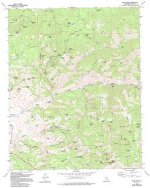 Oiler Peak USGS topographic map 35118c5