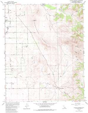 Fountain Springs USGS topographic map 35118h8