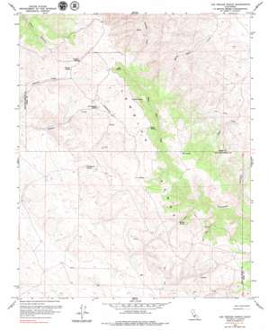 Las Yeguas Ranch topo map