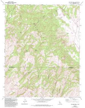 Cholame Hills USGS topographic map 35120g4