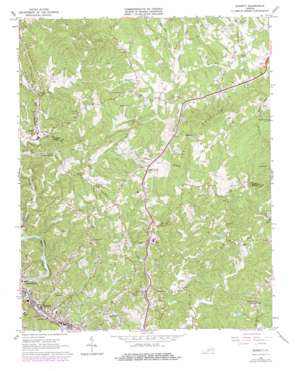 Bassett USGS topographic map 36079g8