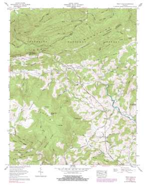 Trout Dale USGS topographic map 36081f4