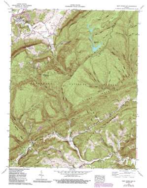 East Stone Gap USGS topographic map 36082g6