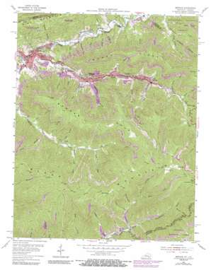 Benham USGS topographic map 36082h8