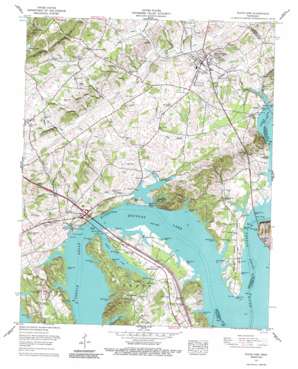 White Pine USGS topographic map 36083a3