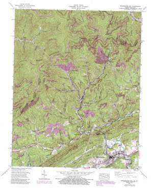 Pennington Gap topo map
