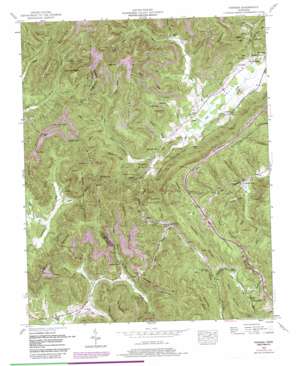 Pioneer topo map