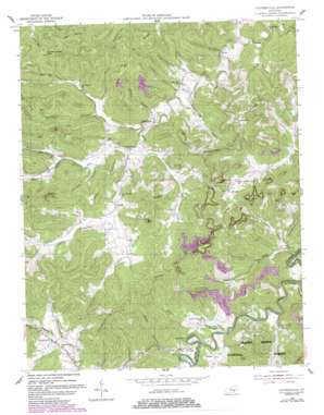 Coopersville topo map
