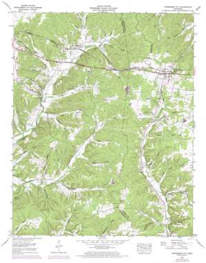 Tennessee City topo map