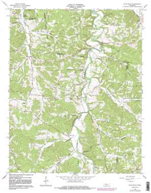 Ellis Mills USGS topographic map 36087c5