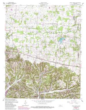 Indian Mound USGS topographic map 36087e6