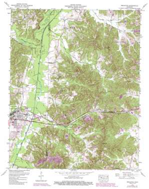 Bruceton USGS topographic map 36088a2
