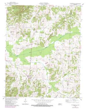 Palmersville USGS topographic map 36088d5