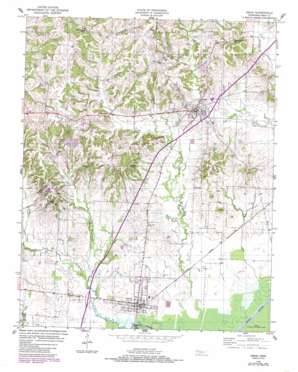 Obion USGS topographic map 36089c2