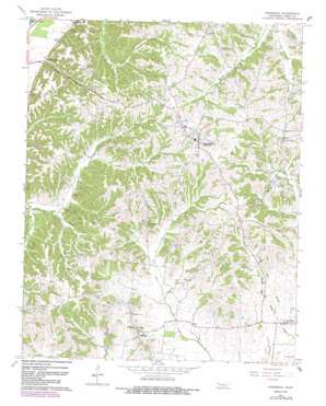 Hornbeak USGS topographic map 36089c3