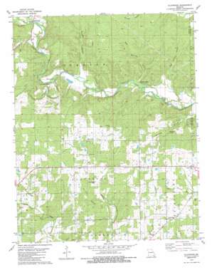 Flatwoods USGS topographic map 36090f6