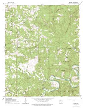 Maumee topo map