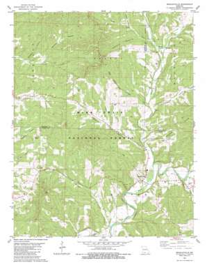 Bradleyville USGS topographic map 36092g8