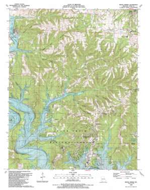 Reeds Spring USGS topographic map 36093f4