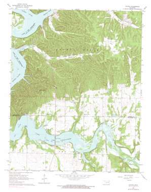 Cayuga USGS topographic map 36094f6