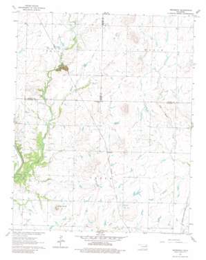 Neodesha USGS topographic map 36095a4