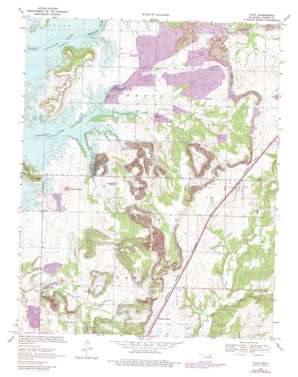 Foyil USGS topographic map 36095d5