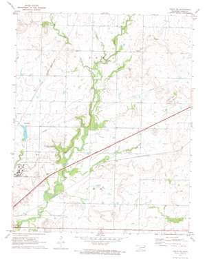 Vinita NE USGS topographic map 36095f1