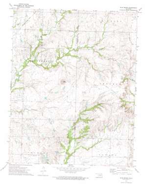 Blue Mound USGS topographic map 36095g7