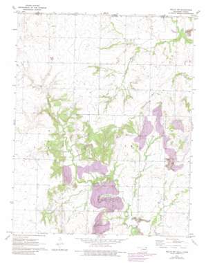 Welch Nw topo map