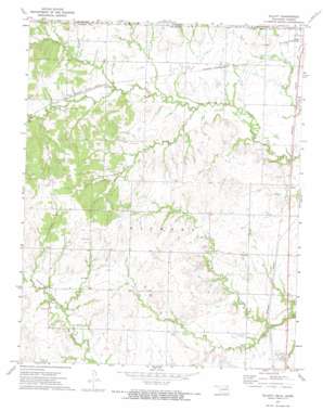 Elliott USGS topographic map 36095h6