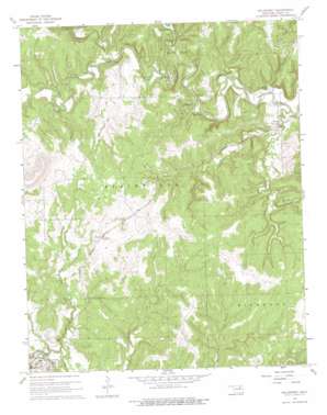 Nelagoney USGS topographic map 36096f2