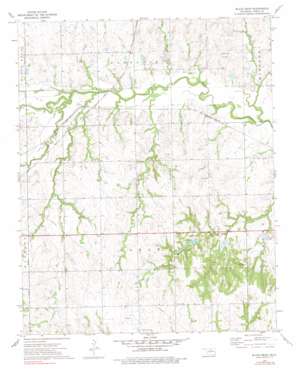 Black Bear USGS topographic map 36097c2