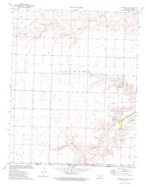 Texhoma Sw USGS topographic map 36101e8