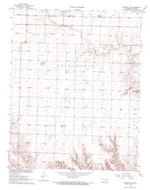 Straight Sw USGS topographic map 36101g4