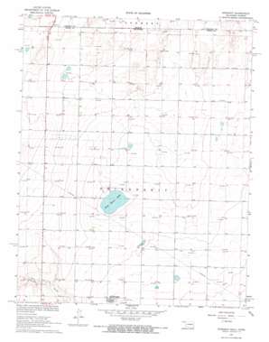 Straight USGS topographic map 36101h4