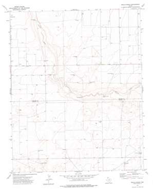 Wells Ranch USGS topographic map 36102a7